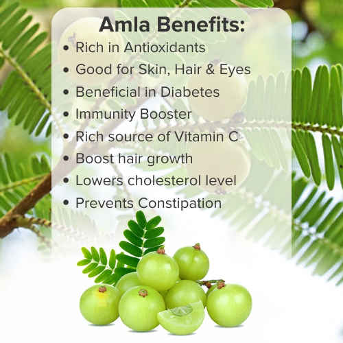 Amla: Benefits and Uses post thumbnail image